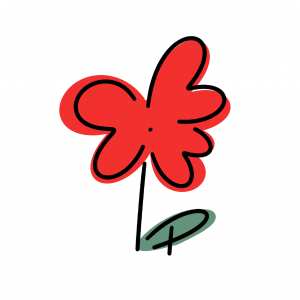 Baimai.wai